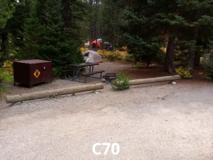 70