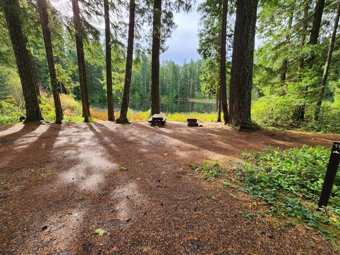 Lake In The Woods Campground
