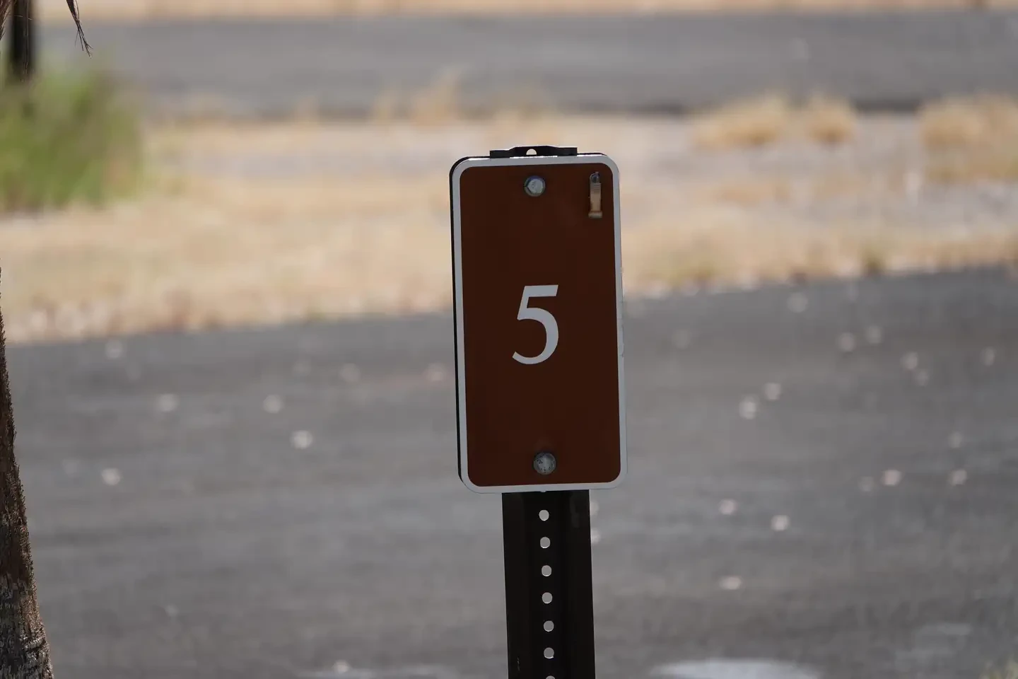 Site 5