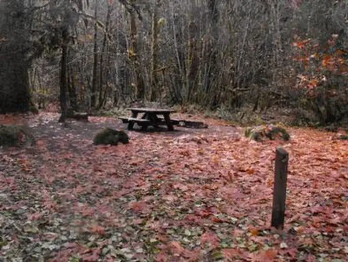 French Pete Campground