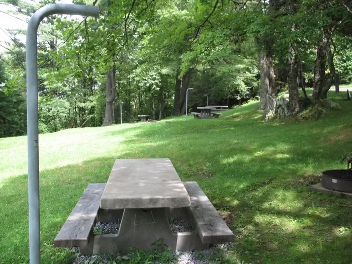 Group Site 1