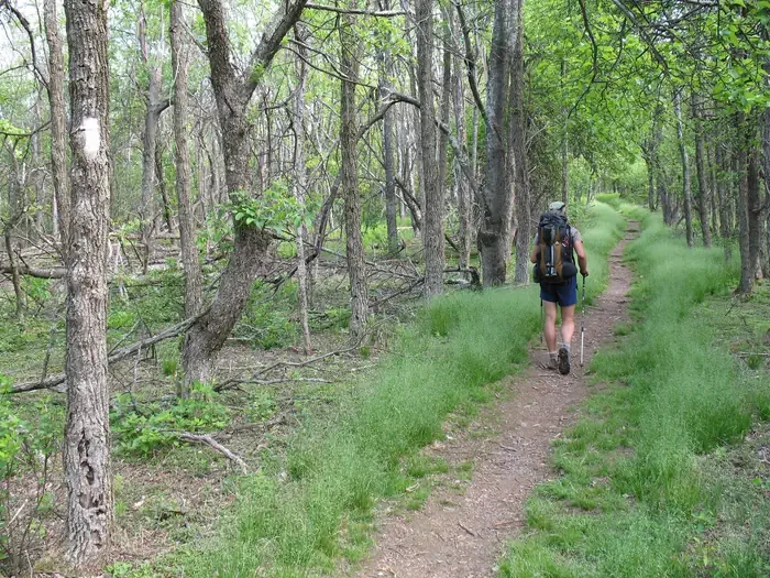 Shenandoah National Park Backcountry Permits