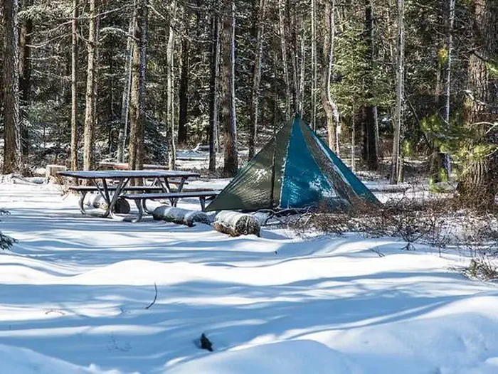 Apgar Campground