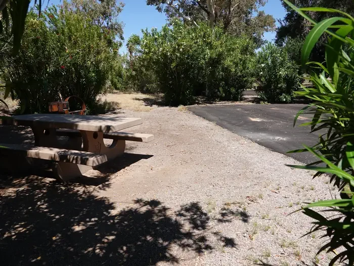 Site 18