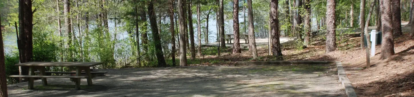 101
