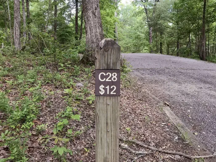 28