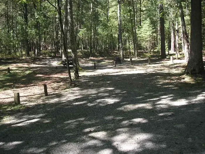 085