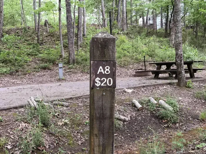 08