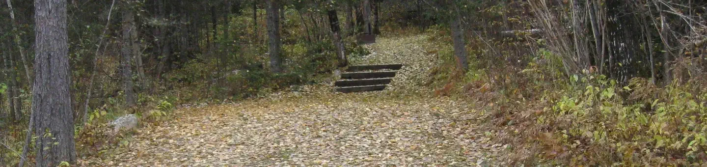 017