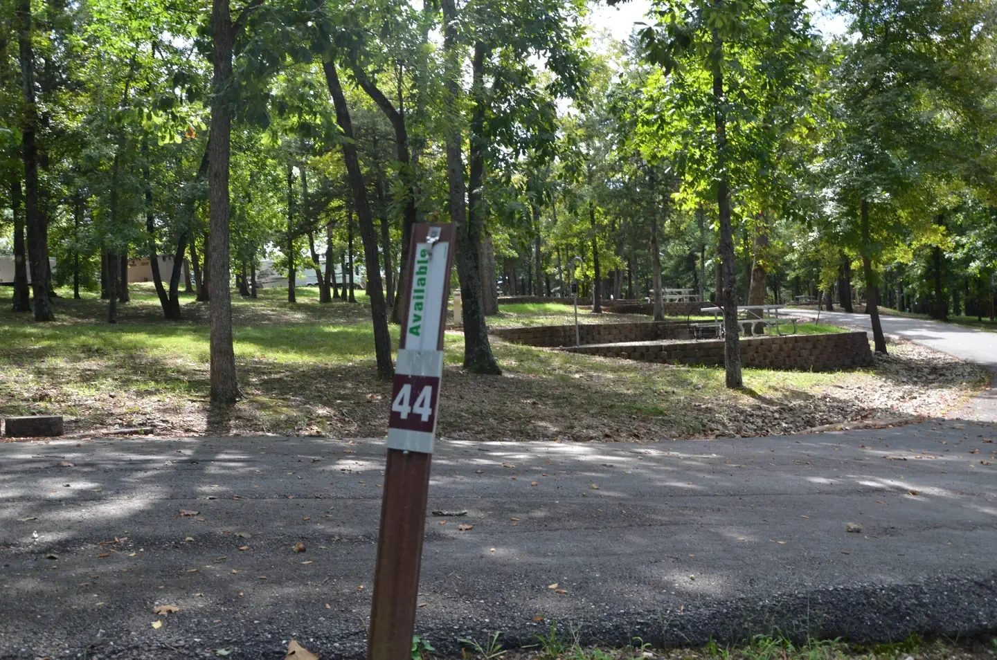 44