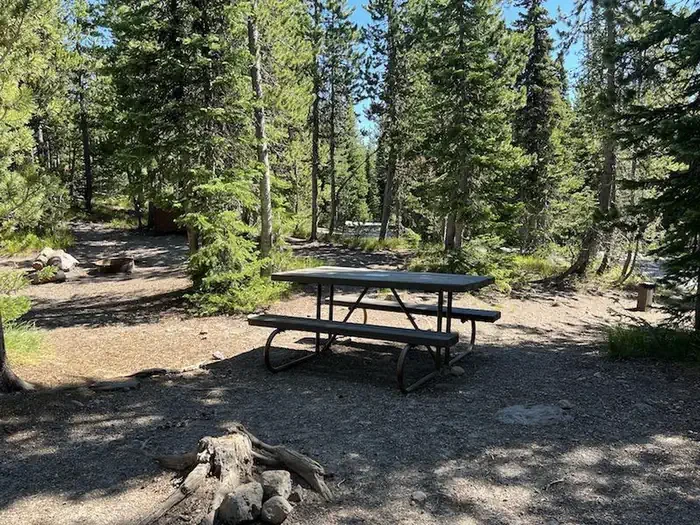 Lewis Lake site #83