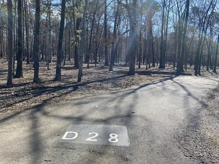 D28