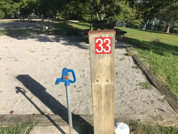 33
