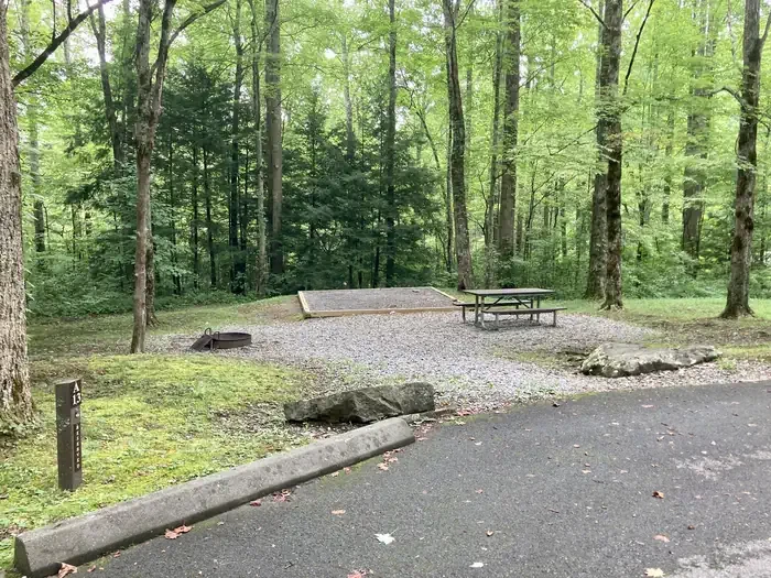 A13