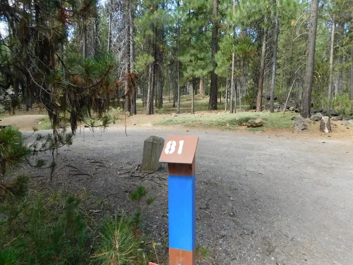 081
