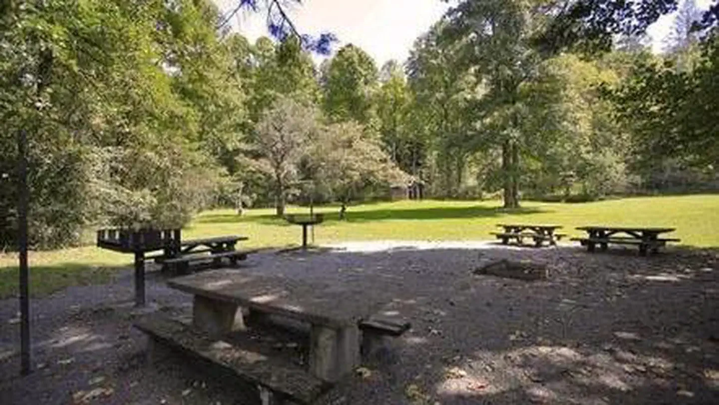 Kuykendall Group Camp