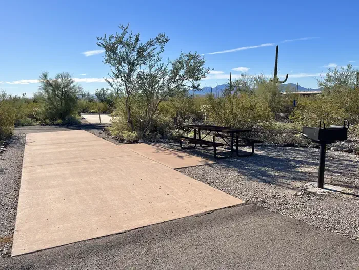 101