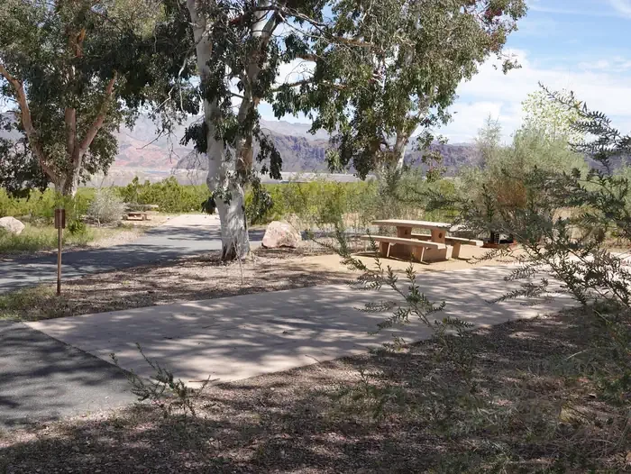 Site 54