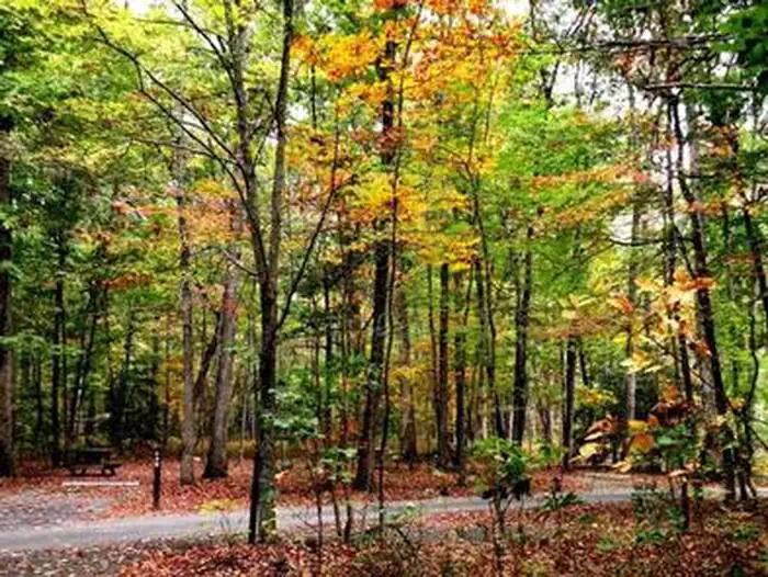 Oak Ridge Campground
