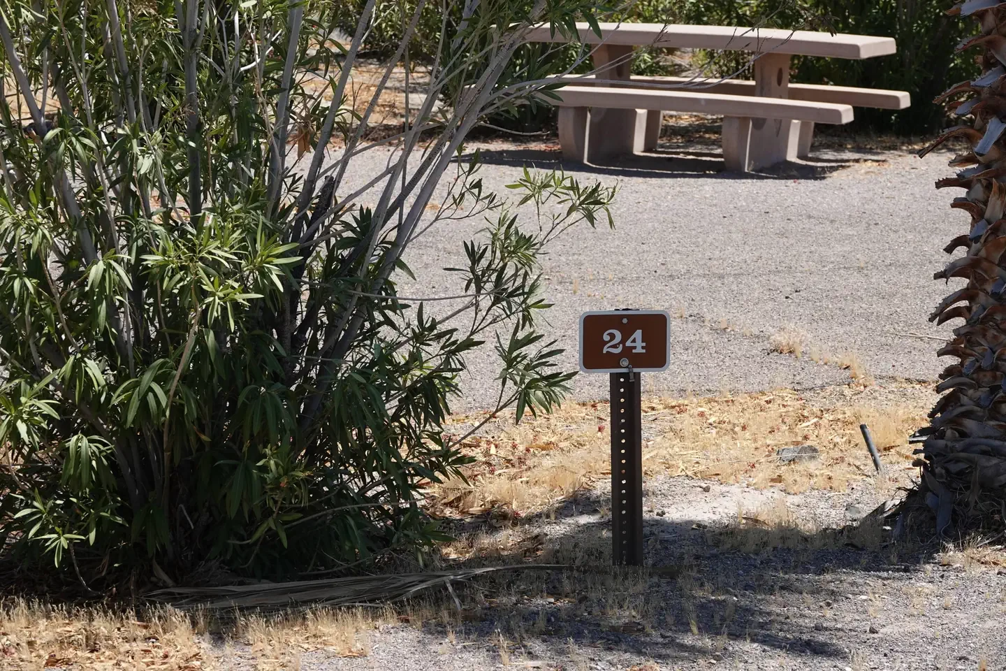 Site 24