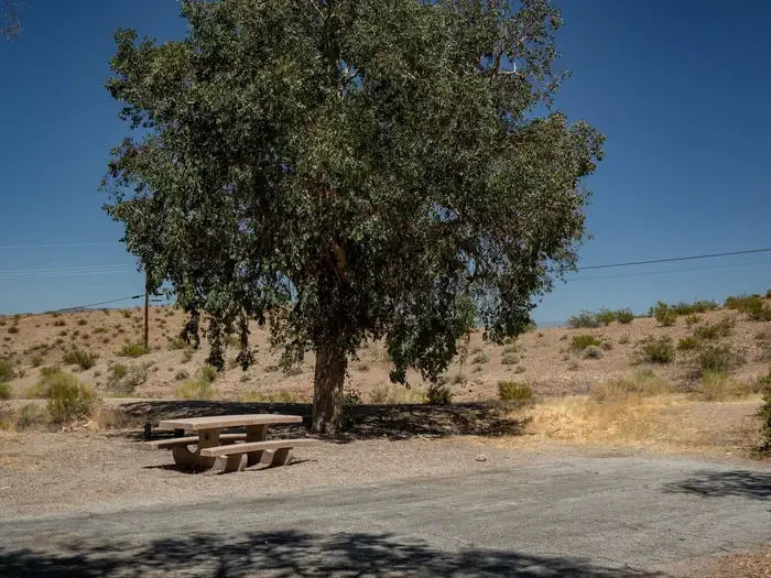 Site 36