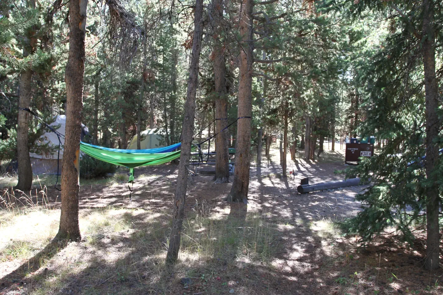 Indian Creek site #41