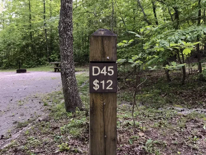 45