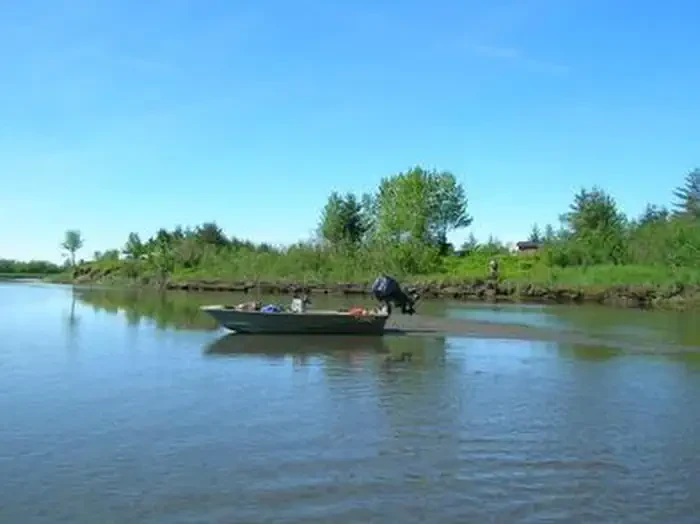 Tiedeman Slough Cabin