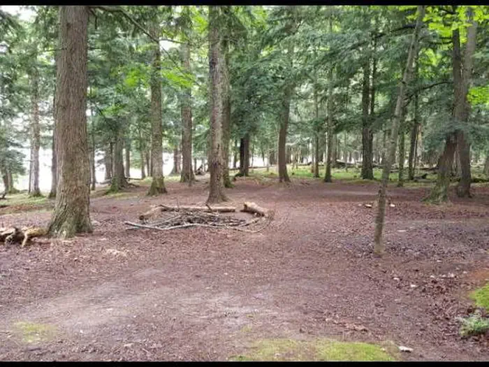 PINE-2