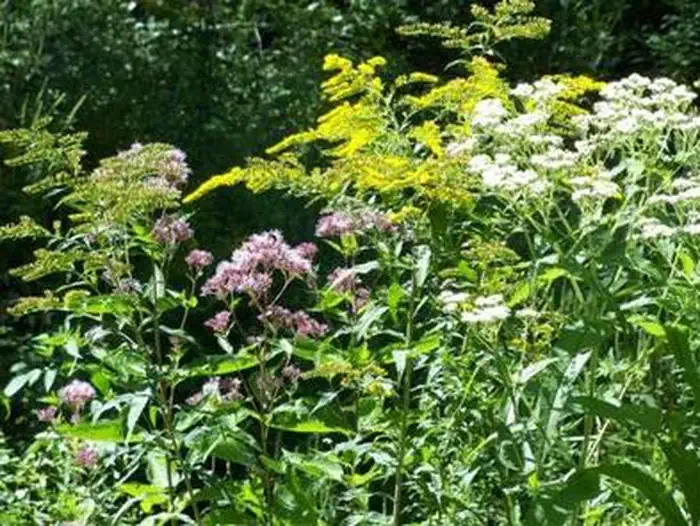 Westville Recreation Area