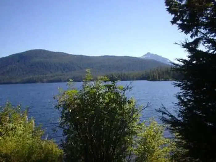 Lake Alexander Cabin
