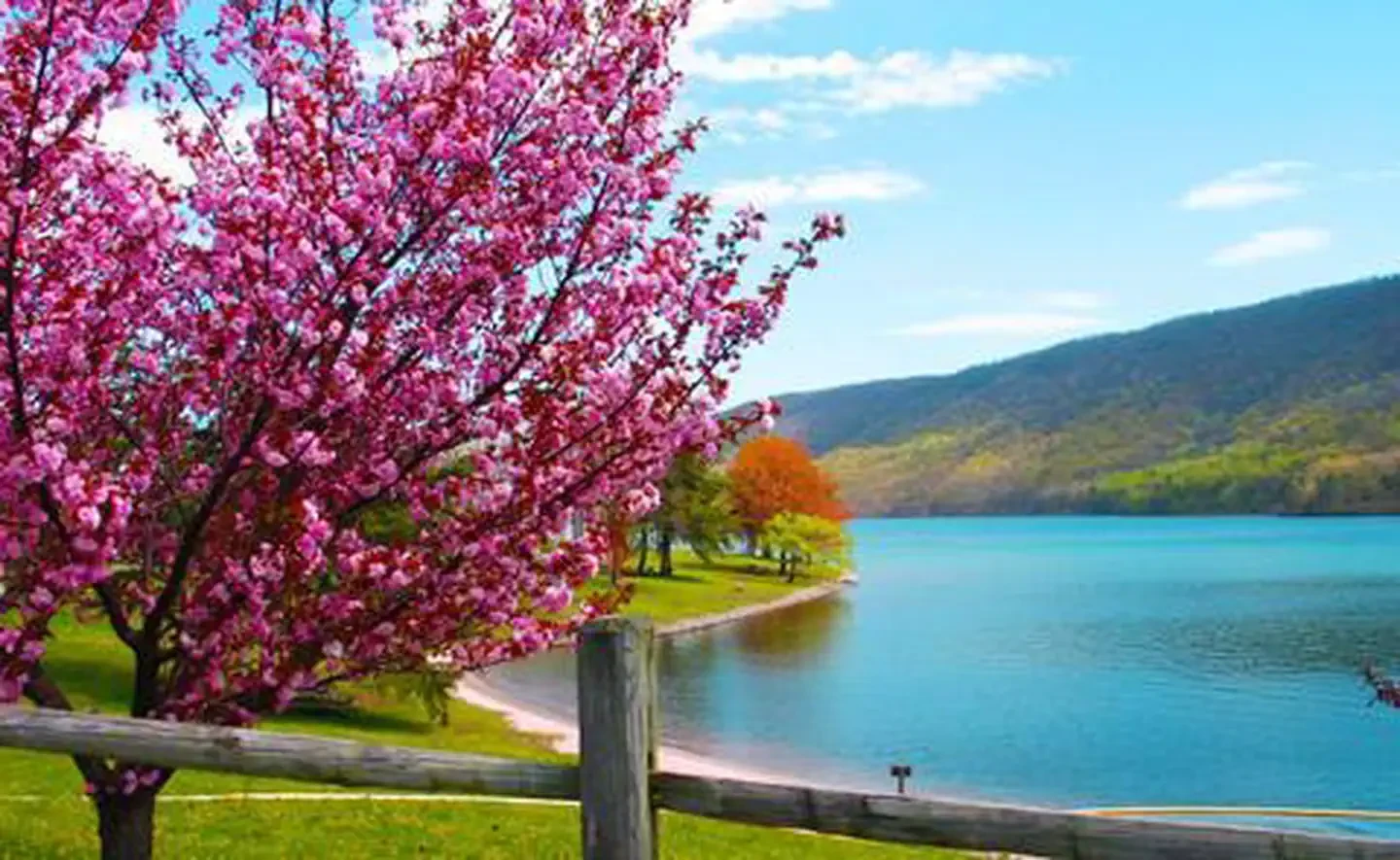 Raystown Lake