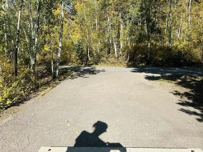 A24