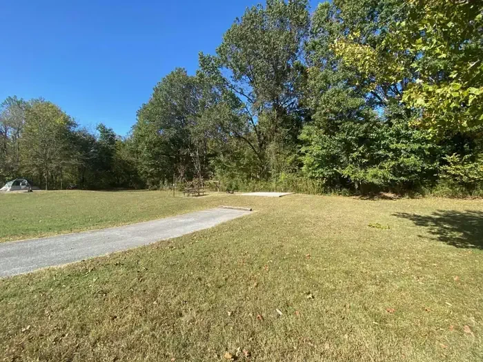 Site# 15