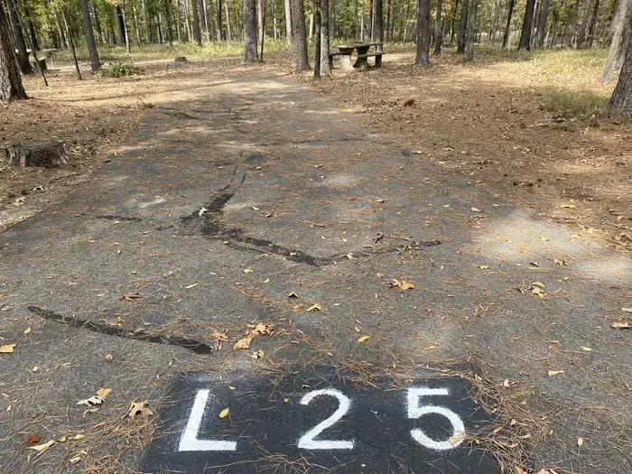 L25