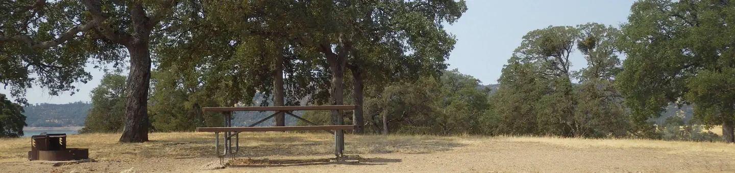 137