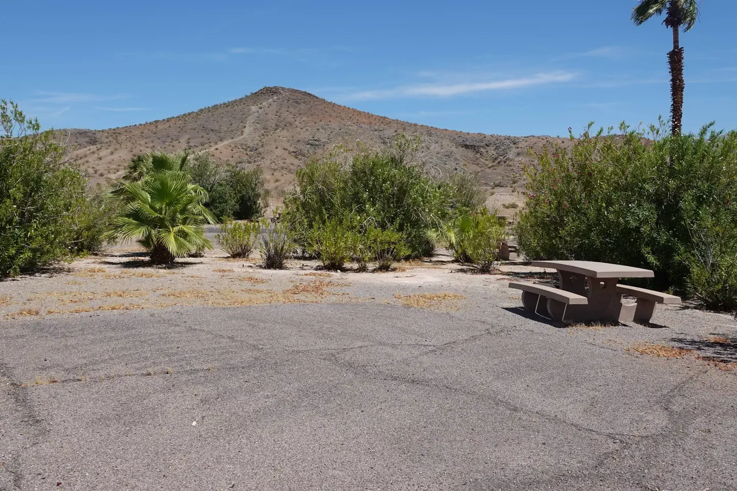 Site 19