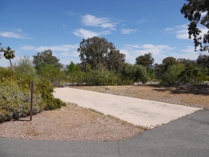 Site 4