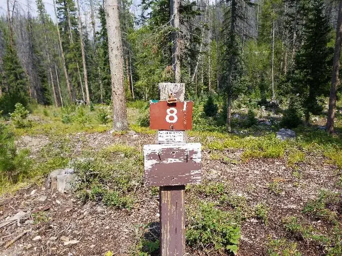 008