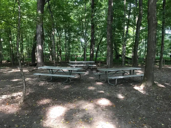 Site #5