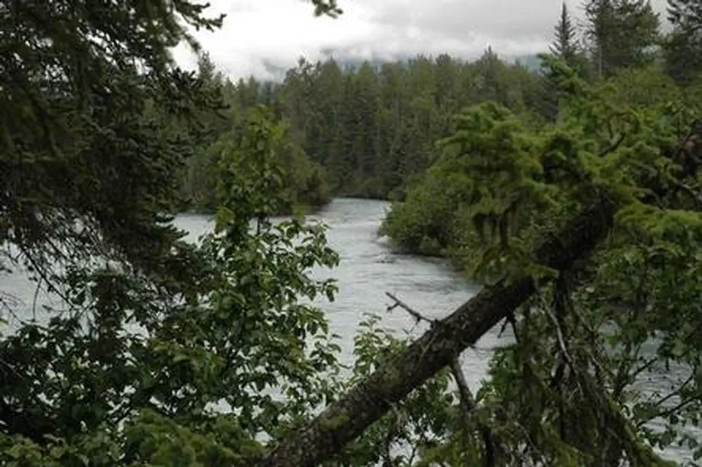 Trail River
