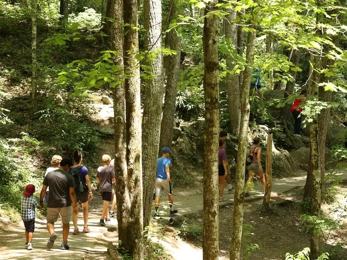 Great Smoky Mountains National Park Vehicle Reservations
