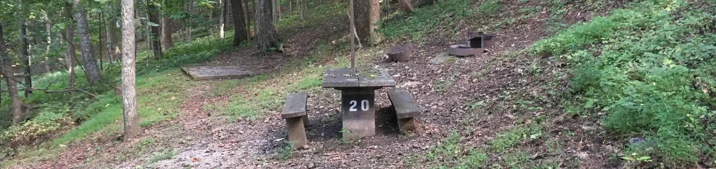 B20