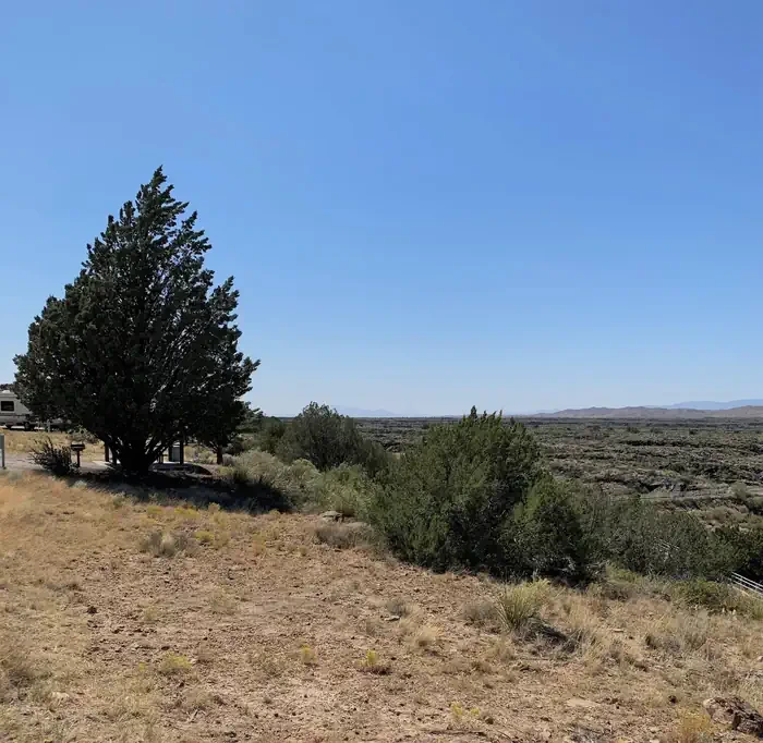 Site 6