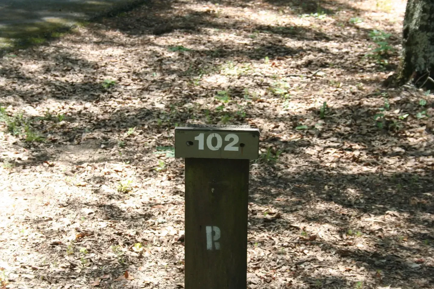 102