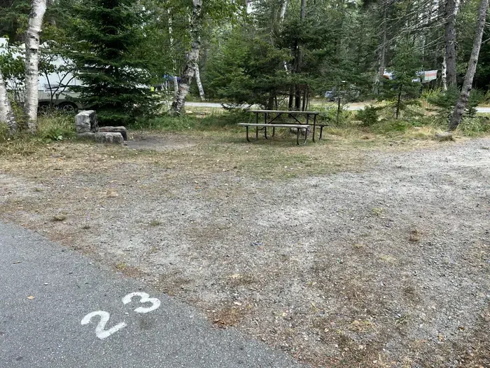 C23