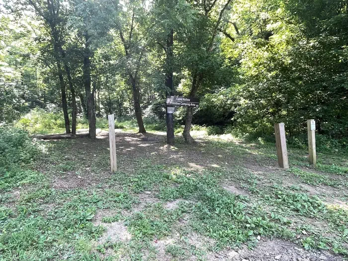 Cane Hollow -Site 3A