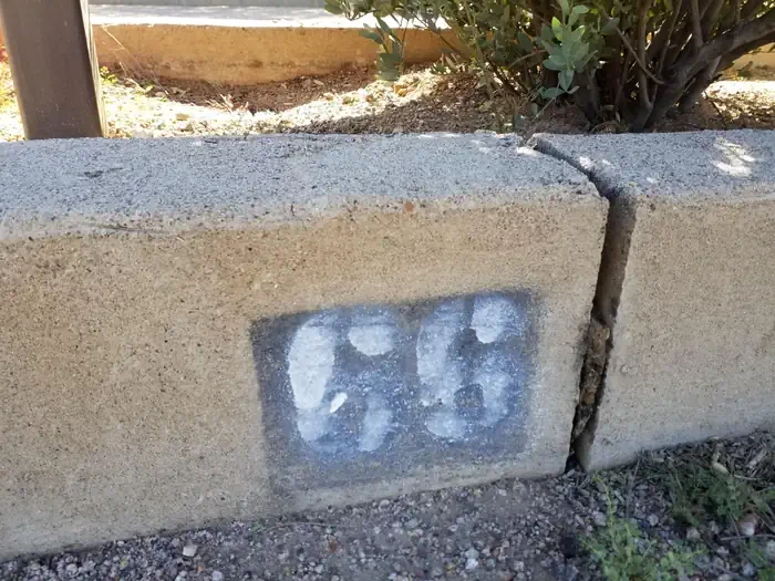 66
