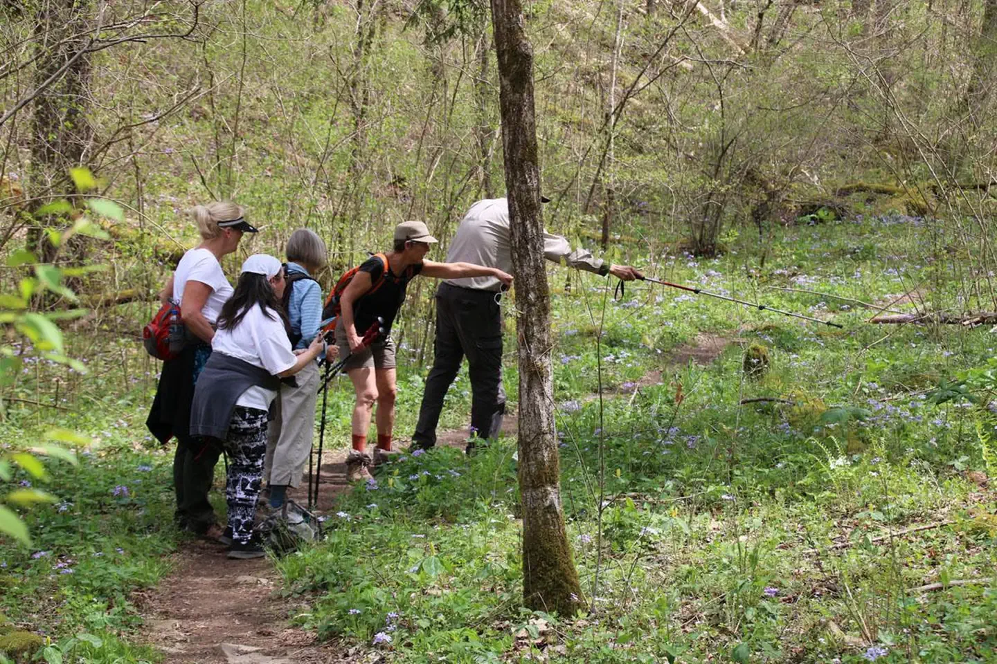 Whiteoak Sink Group Hiking Permits