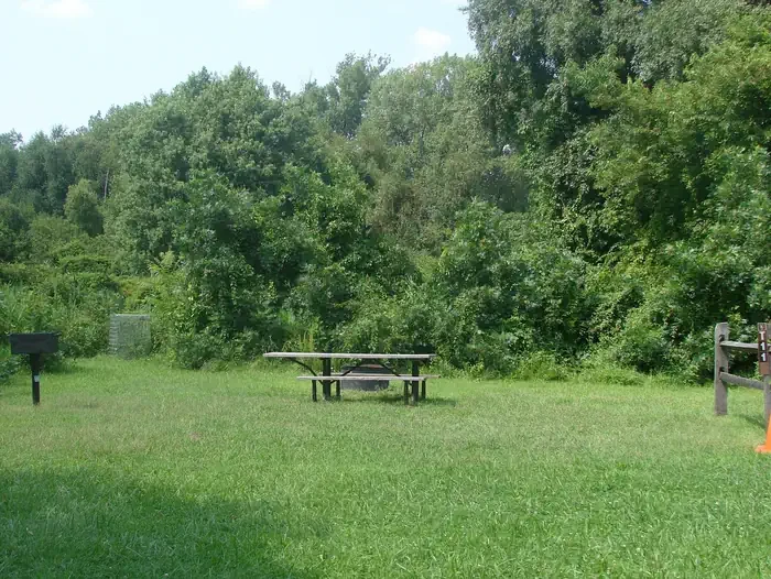 T11